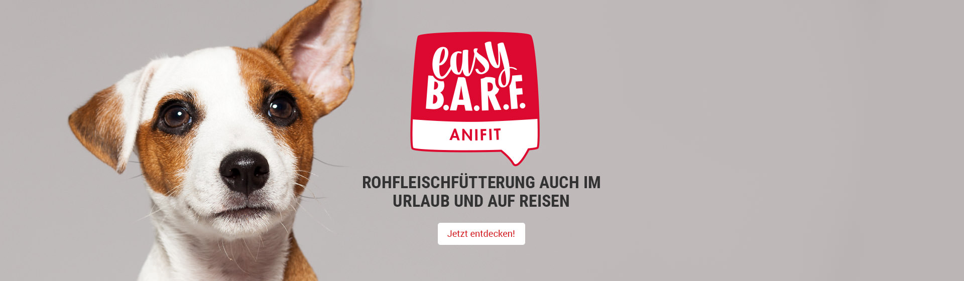 easy B.A.R.F. Anifit